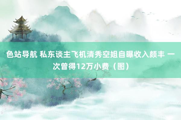色站导航 私东谈主飞机清秀空姐自曝收入颇丰 一次曾得12万小费(图)