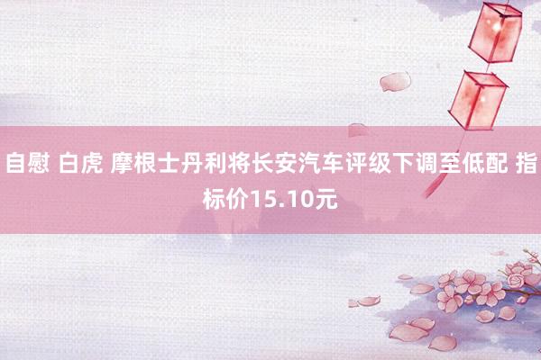 自慰 白虎 摩根士丹利将长安汽车评级下调至低配 指标价15.10元