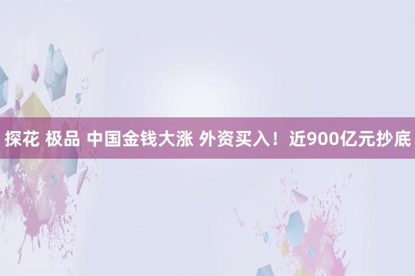探花 极品 中国金钱大涨 外资买入！近900亿元抄底