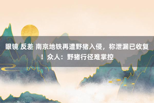眼镜 反差 南京地铁再遭野猪入侵，称泄漏已收复！众人：野猪行径难掌控