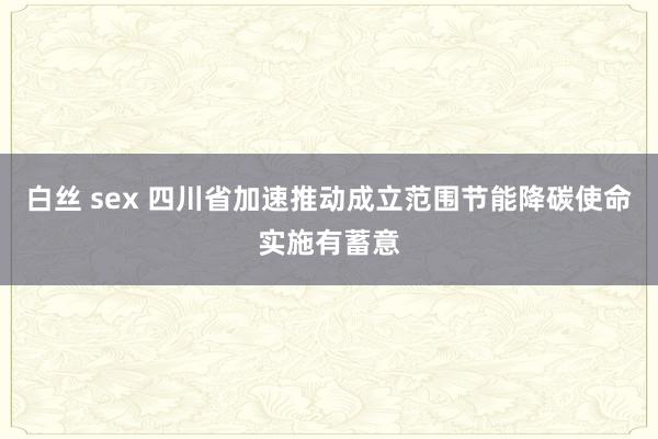 白丝 sex 四川省加速推动成立范围节能降碳使命实施有蓄意