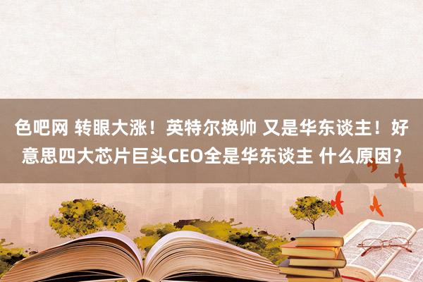 色吧网 转眼大涨！英特尔换帅 又是华东谈主！好意思四大芯片巨头CEO全是华东谈主 什么原因？