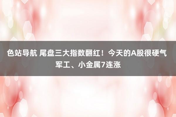 色站导航 尾盘三大指数翻红！今天的A股很硬气 军工、小金属7连涨