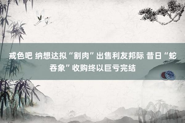 戒色吧 纳想达拟“割肉”出售利友邦际 昔日“蛇吞象”收购终以巨亏完结