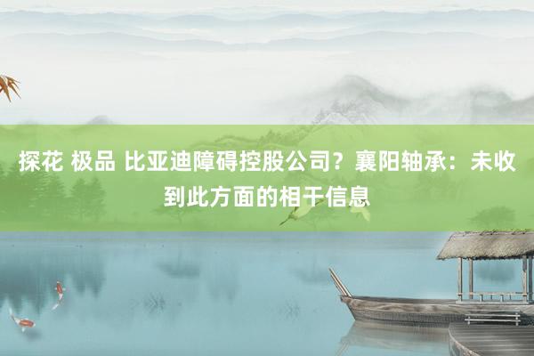 探花 极品 比亚迪障碍控股公司？襄阳轴承：未收到此方面的相干信息